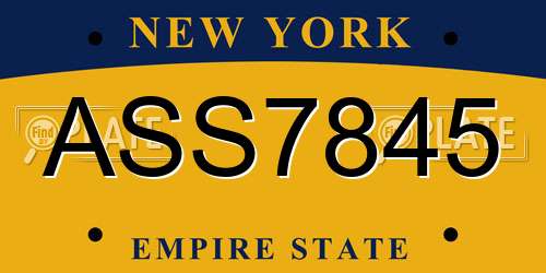 ASS7845 New York License Plate