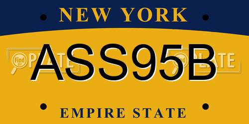 ASS95B New York License Plate