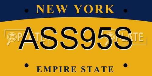 ASS95S New York License Plate
