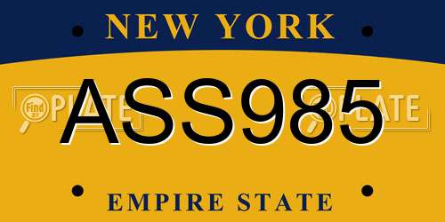 ASS985 New York License Plate