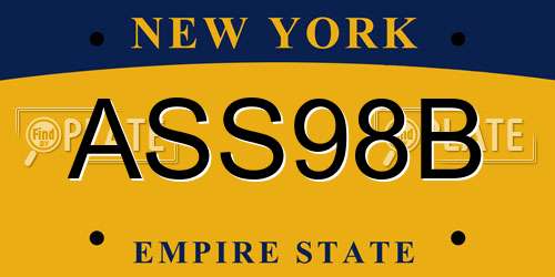 ASS98B New York License Plate