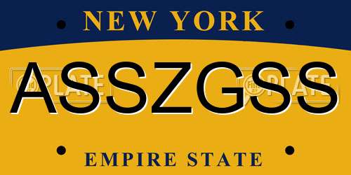 ASSZGSS New York License Plate