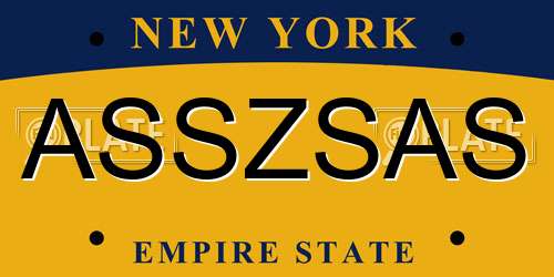 ASSZSAS New York License Plate