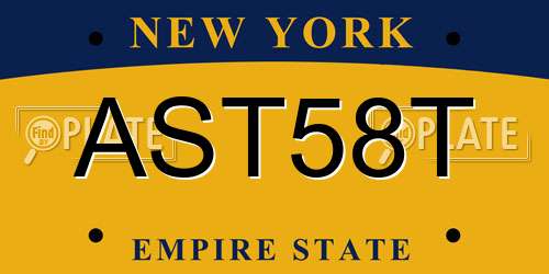 AST58T New York License Plate