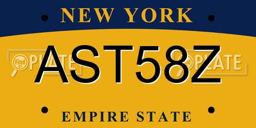 AST58Z New York License Plate
