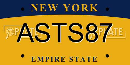 ASTS87 New York License Plate