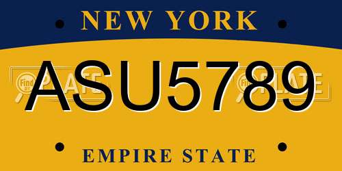 ASU5789 New York License Plate