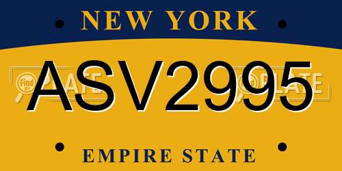 ASV2995 New York License Plate