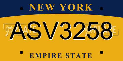 ASV3258 New York License Plate