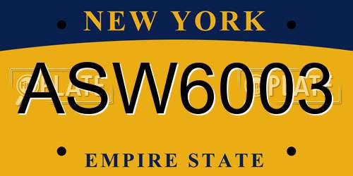 ASW6003 New York License Plate