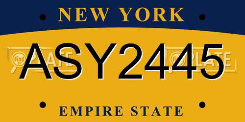 ASY2445 New York License Plate