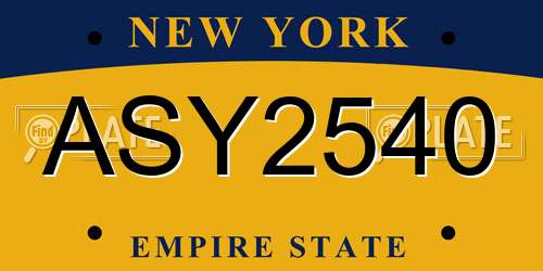 ASY2540 New York License Plate
