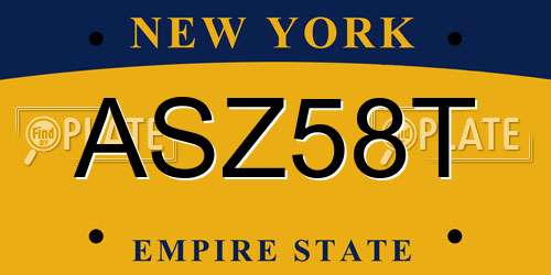 ASZ58T New York License Plate