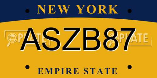 ASZB87 New York License Plate