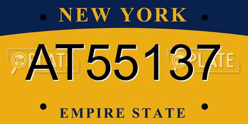 AT55137 New York License Plate