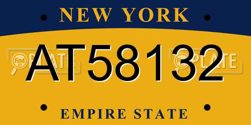 AT58132 New York License Plate
