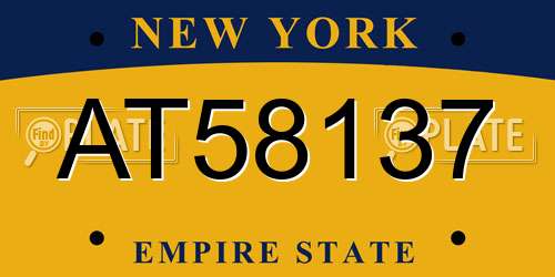AT58137 New York License Plate