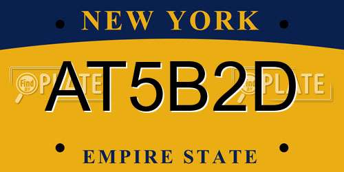 AT5B2D New York License Plate
