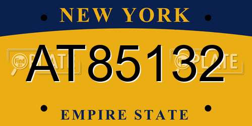 AT85132 New York License Plate