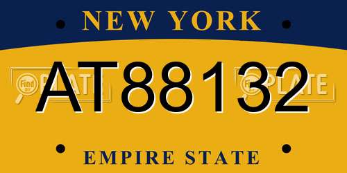 AT88132 New York License Plate