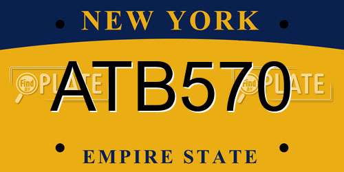 ATB570 New York License Plate