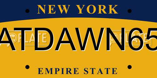 ATDAWN65 New York License Plate