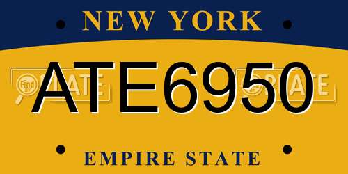 ATE6950 New York License Plate