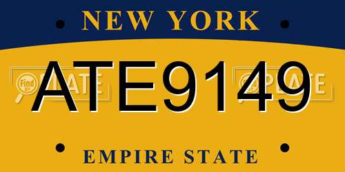 ATE9149 New York License Plate