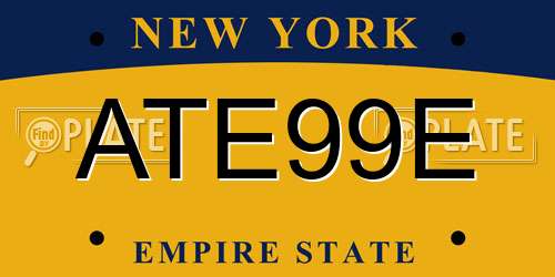 ATE99E New York License Plate