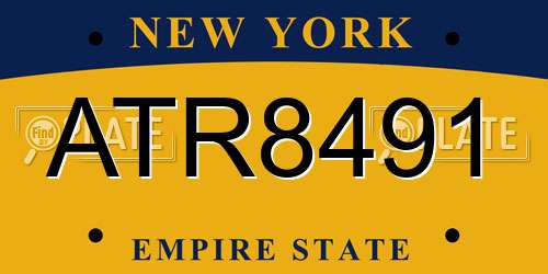ATR8491 New York License Plate