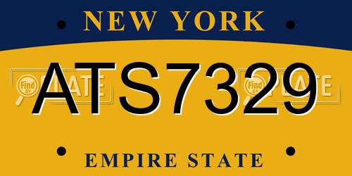 ATS7329 New York License Plate