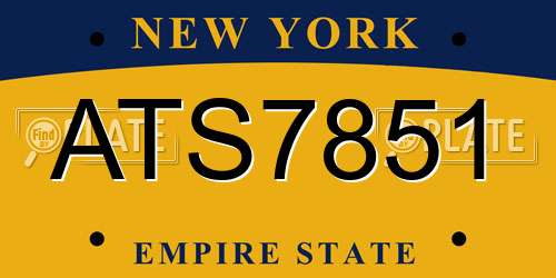 ATS7851 New York License Plate