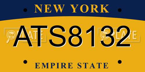 ATS8132 New York License Plate