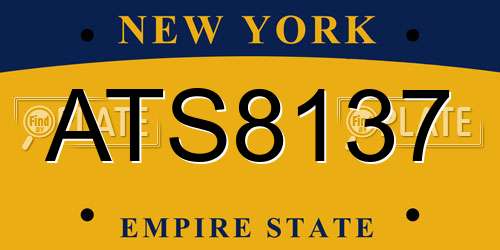 ATS8137 New York License Plate