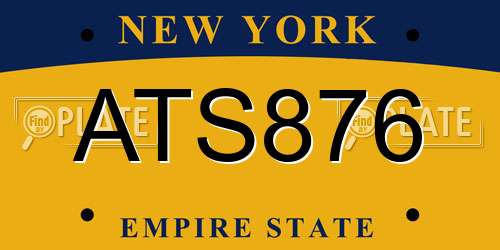 ATS876 New York License Plate