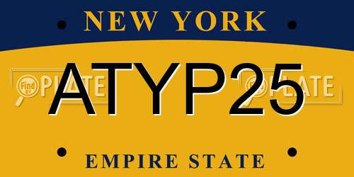 ATYP25 New York License Plate