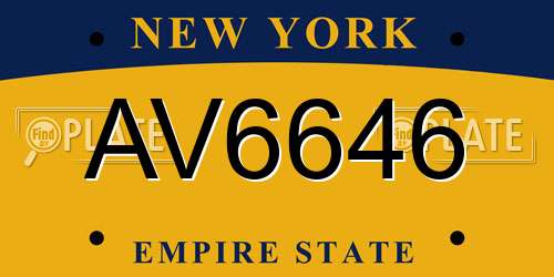 AV6646 New York License Plate
