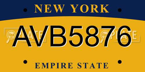 AVB5876 New York License Plate