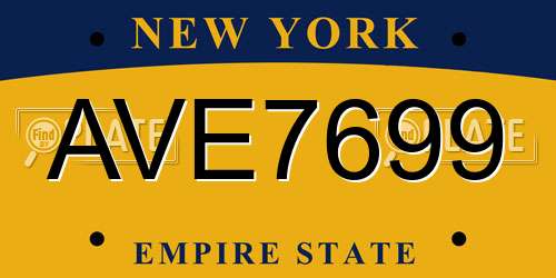 AVE7699 New York License Plate