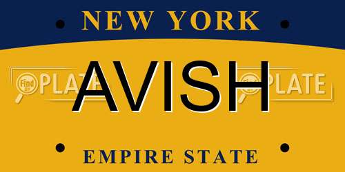 AVISH New York License Plate