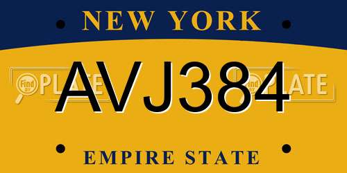 AVJ384 New York License Plate