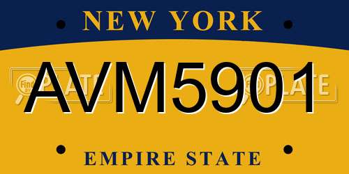 AVM5901 New York License Plate