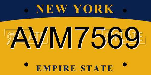 AVM7569 New York License Plate
