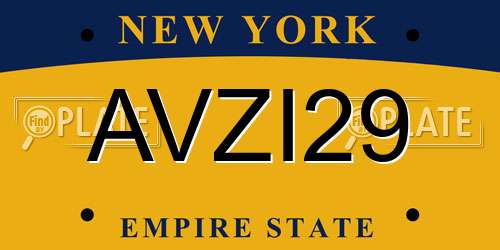 AVZI29 New York License Plate