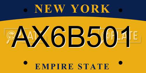 AX6B501 New York License Plate