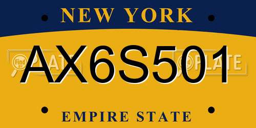AX6S501 New York License Plate