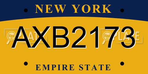 AXB2173 New York License Plate
