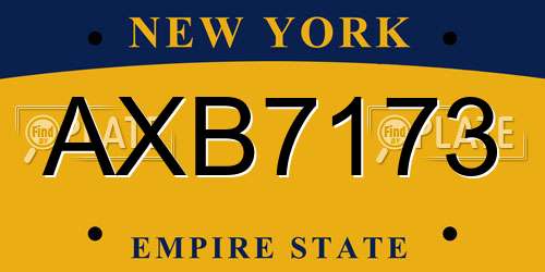 AXB7173 New York License Plate