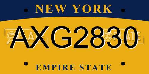AXG2830 New York License Plate