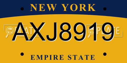 AXJ8919 New York License Plate